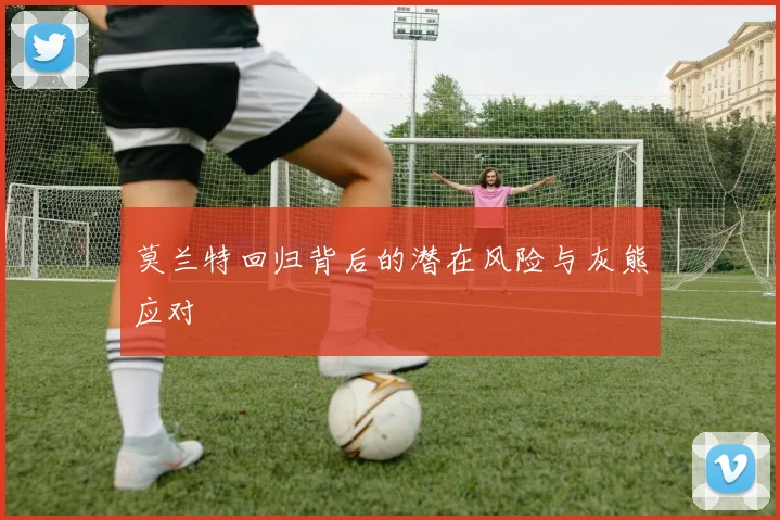 莫兰特回归背后的潜在风险与灰熊应对