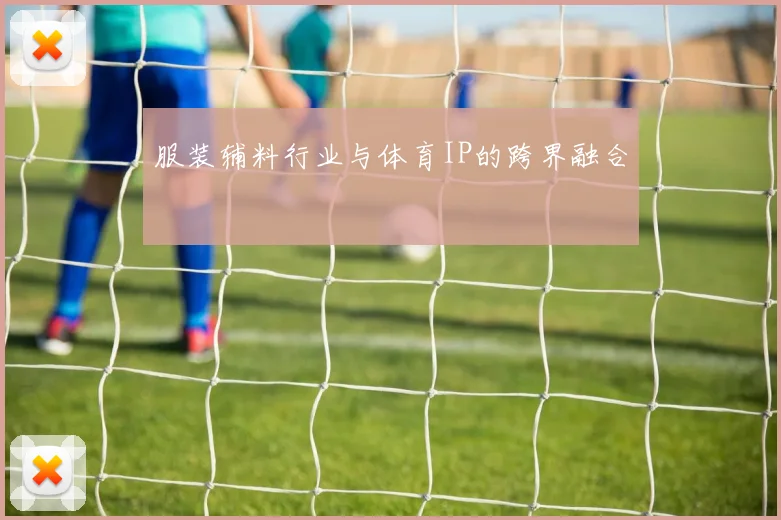服装辅料行业与体育IP的跨界融合