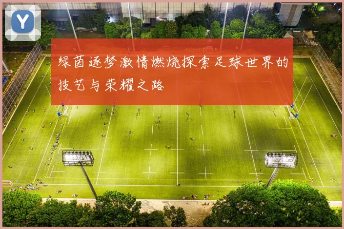绿茵逐梦激情燃烧探索足球世界的技艺与荣耀之路
