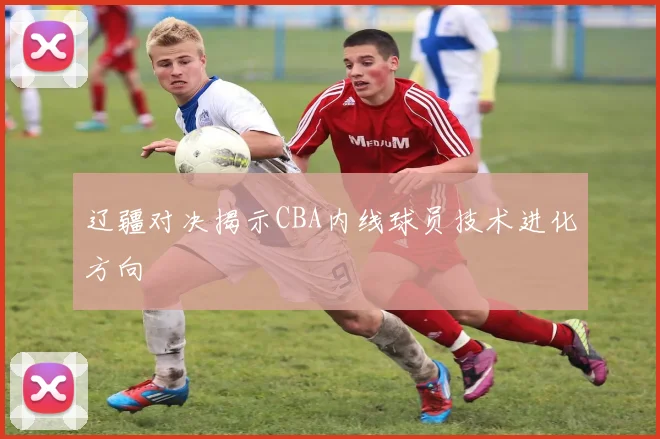 辽疆对决揭示CBA内线球员技术进化方向